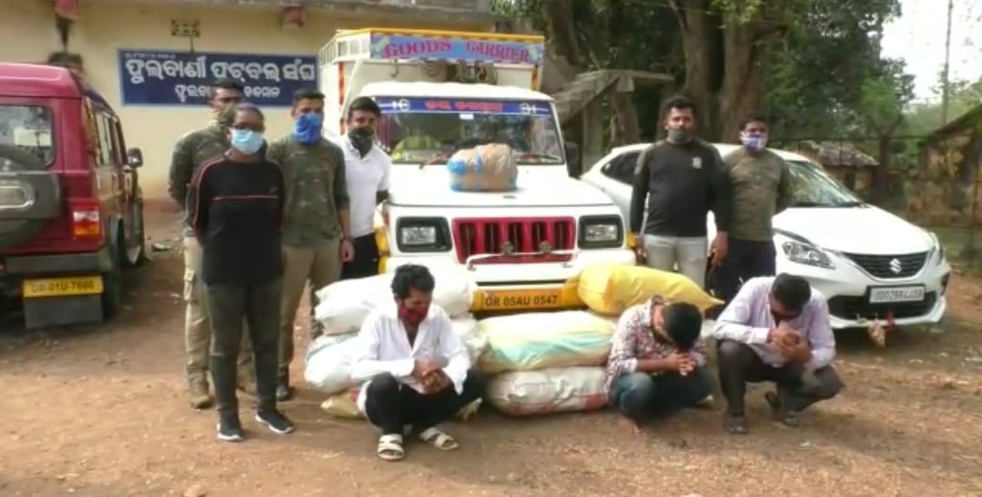 108 Kg Ganja Seized In Phulbani Three Forwarded To Court Pragativadi