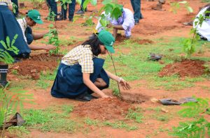 around 300 students from different schools of Steel City joined the drive and planted saplings at the site.
