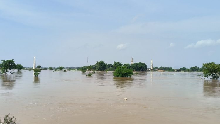 Odisha Flood