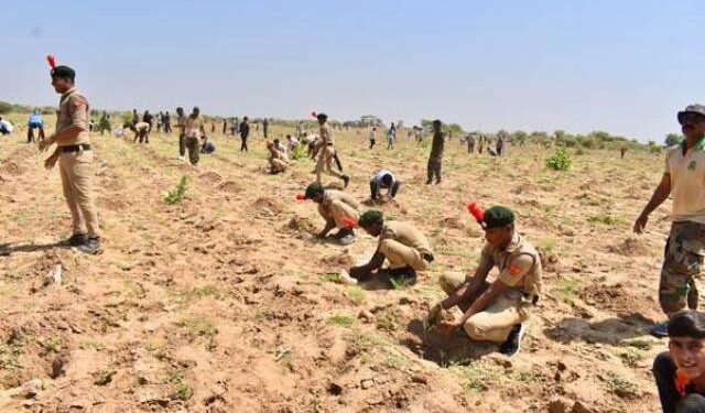 World Record by Planting Over 5 Lakh Saplings in 1-Hr