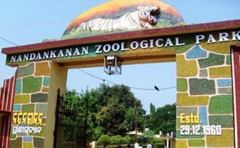 Attack on Chhattisgarh tourists: Nandankanan