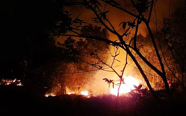 Similipal forest fire