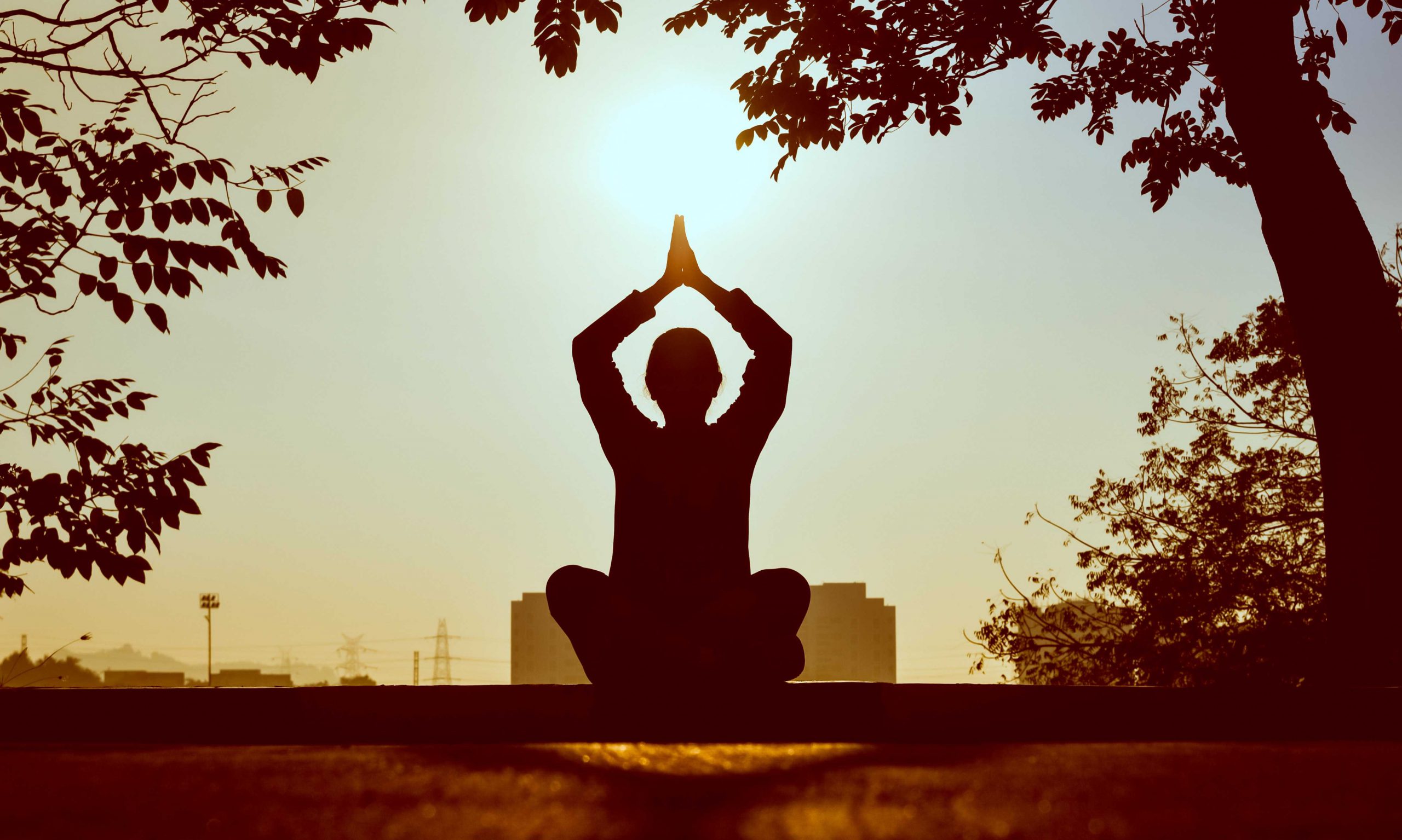 Yoga Poses for the Thymus Gland | Defence against Disease