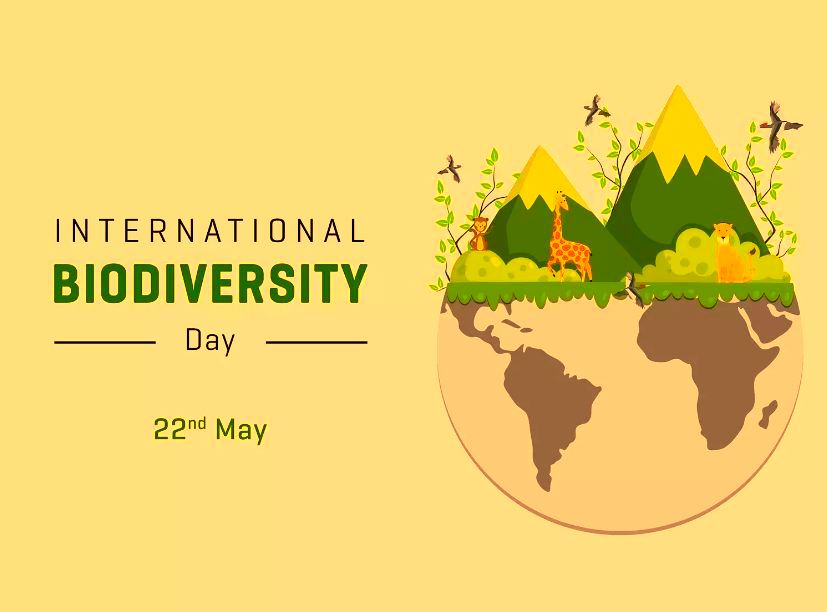 International Day for Biological Diversity Theme & Significance