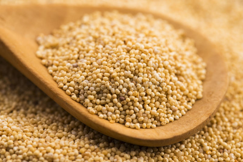 Amazing Benefits Of Poppy Seeds (Khus Khus) | Pragativadi | Odisha News ...