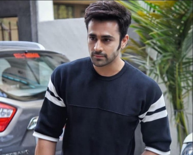 Actor Pearl V Puri