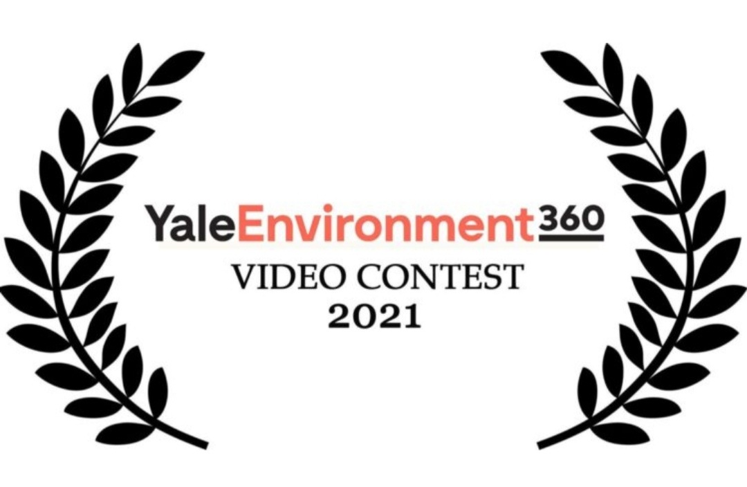 Yale Environment Contest