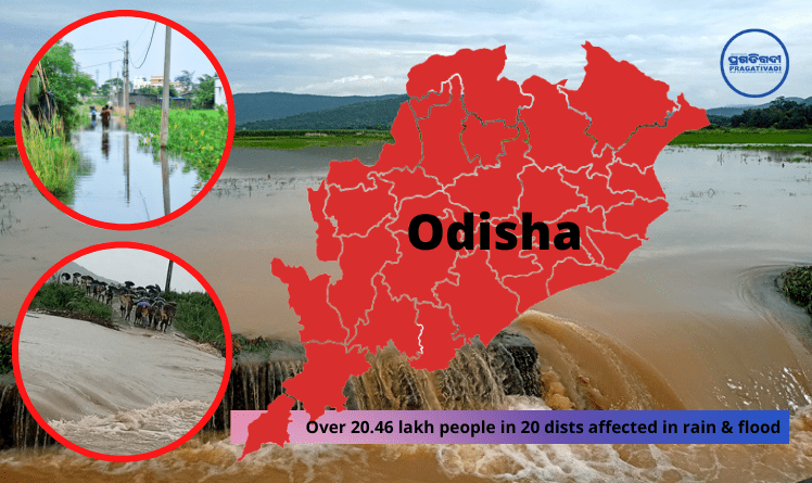 20.46 Lakh People Affected