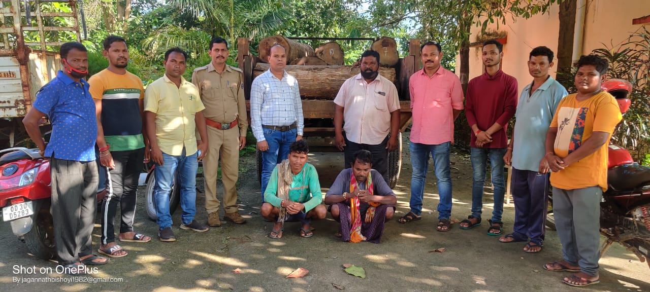 Wooden Logs Seized In Malkangiri; 2 Held