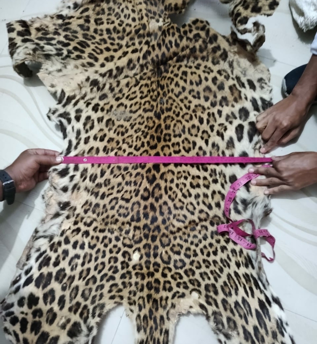 leopard skin