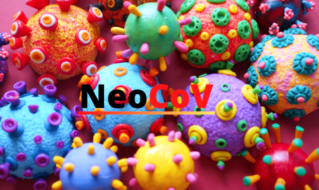 NeoCoV
