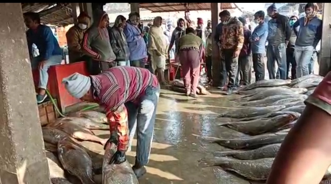 Fishermen Catch Exotic Fish Haul