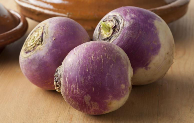 Turnip 