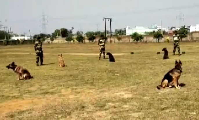 Dog show organised by BSF
