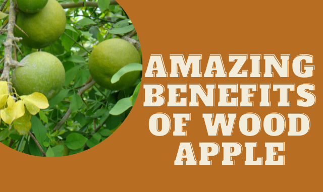 Surprising Health Benefits Of Bael Fruit (Wood Apple) - Pragativadi