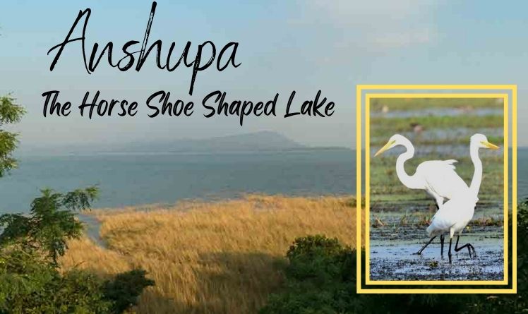 Visit Anshupa Lake