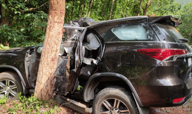 Car dashes into tree
