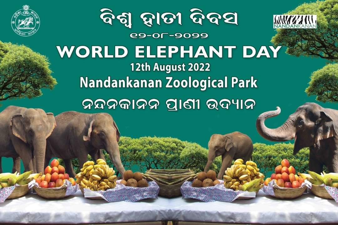 Nandankanan Zoo