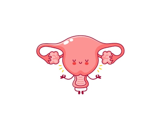 Healthy Uterus