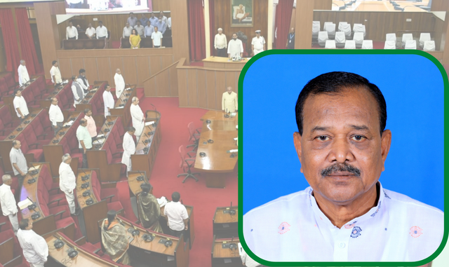 Supplementary Budget In Odisha Assembly
