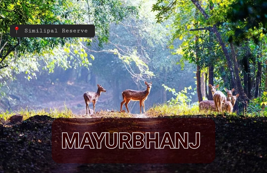 Odisha’s Mayurbhanj Features In Time Magazine’s “The World’s Greatest Places Of 2023”