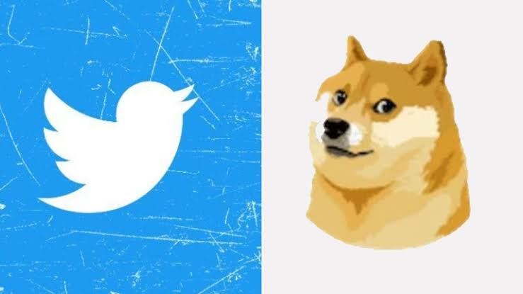 Elon Musk replaces the iconic Twitter bird logo with a dog icon ...