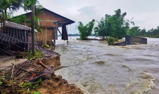 Cyclone Biparjoy: 200 Forest Teams Deployed In Gir Forest To Tackle ...