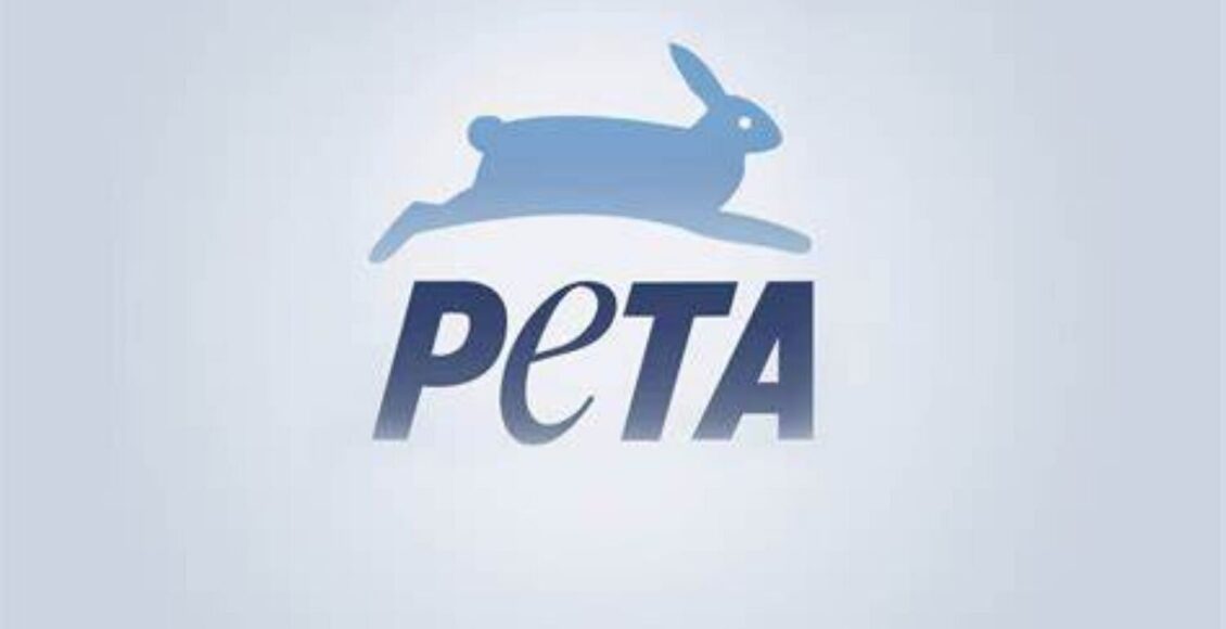 Odisha Bans Cruel Glue Traps For Rodent Control In Response To PETA ...