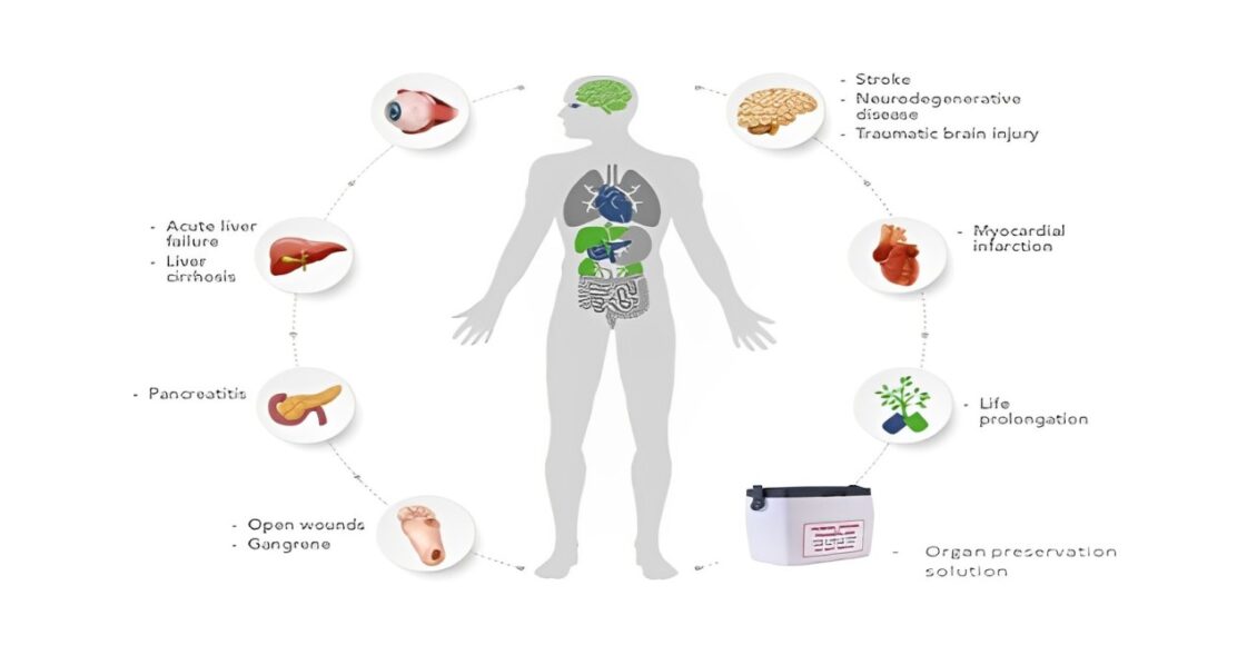 Targeting Necrosis: A Pioneering Endeavor by Israeli Researchers ...