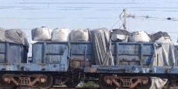 Youth Electrocuted to Death