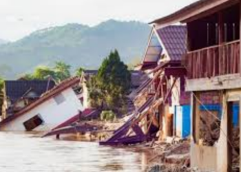 Relief Funds for 2024 Natural Disasters