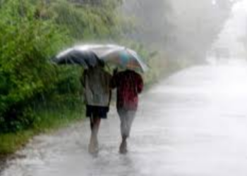 Odisha weather update