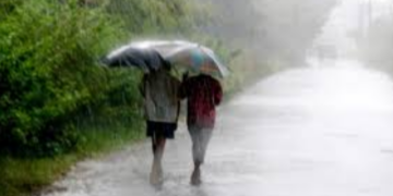 Odisha weather update