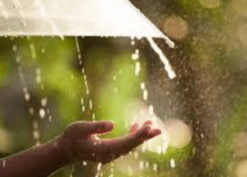 IMD Predicts Rainfall in Several Odisha Districts Today
