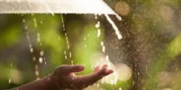 IMD Predicts Rainfall in Several Odisha Districts Today