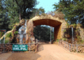 Govt taking robust steps to protect Similipal: Odisha Forest Minister