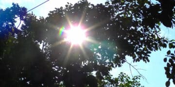 Odisha heatwave 2025