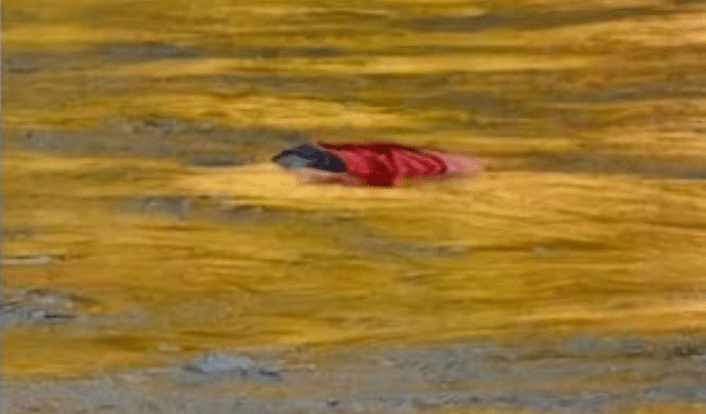 Odisha Man's Body Recovered