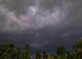 Odisha Monsoon 2025