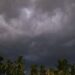 Odisha Monsoon 2025