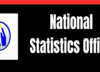 Energy Statistics India 2025