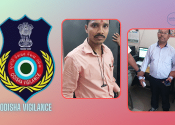 Two Accountants Arrested