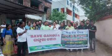 Save Gangua Walk