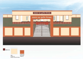 Odisha Introduces New Colour Code for Government Schools