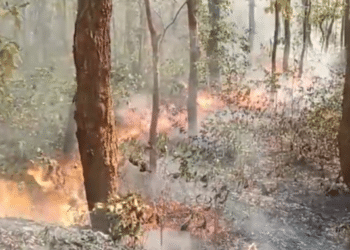 Nilagiri Forest Fire