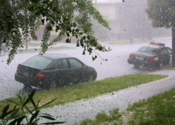 IMD Odisha heavy rain alert