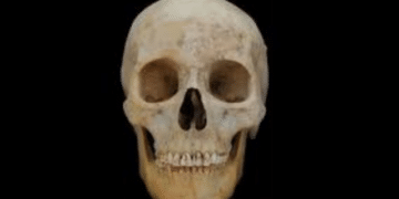 Red Princess of the Silk Road