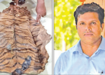 ED Raids Forest Division