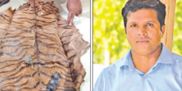 ED Raids Forest Division