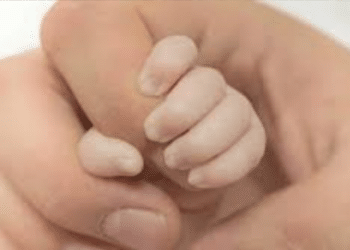 Child Abduction Attempt Foiled